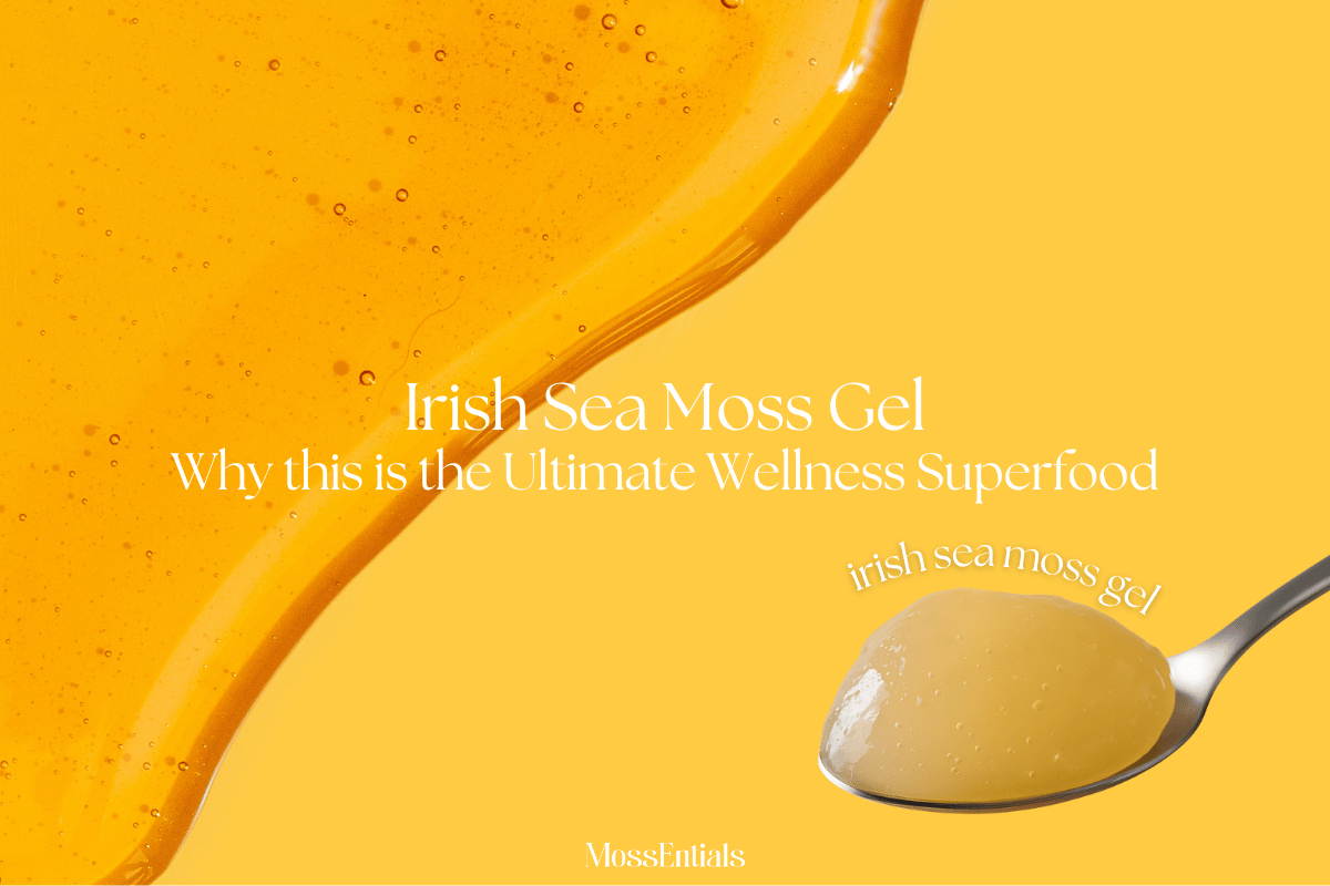 Why Sea Moss Gels Are the Ultimate Wellness Food