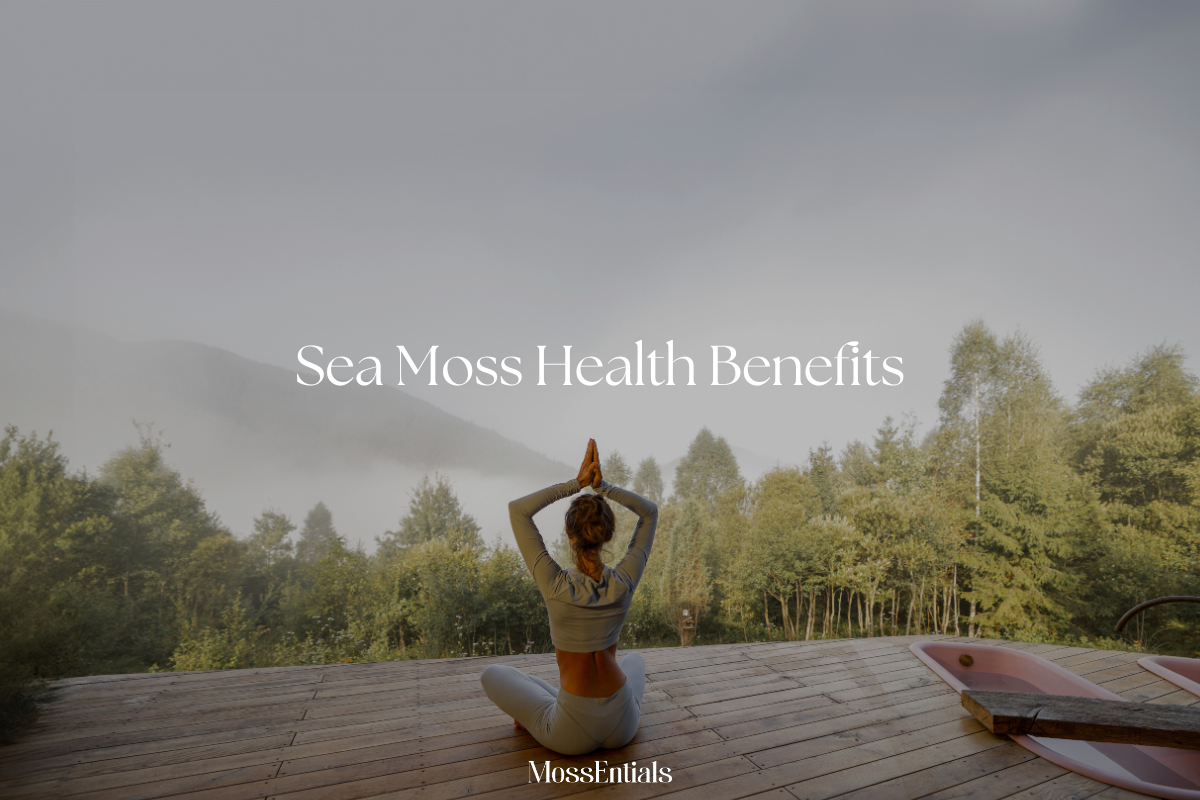 Sea Moss Health Benefits