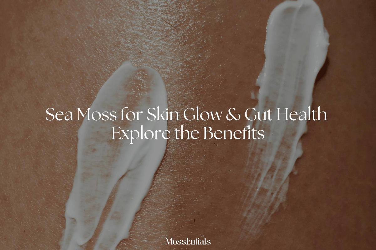Sea Moss for Skin Glow & Gut Health - What are the Benefits?