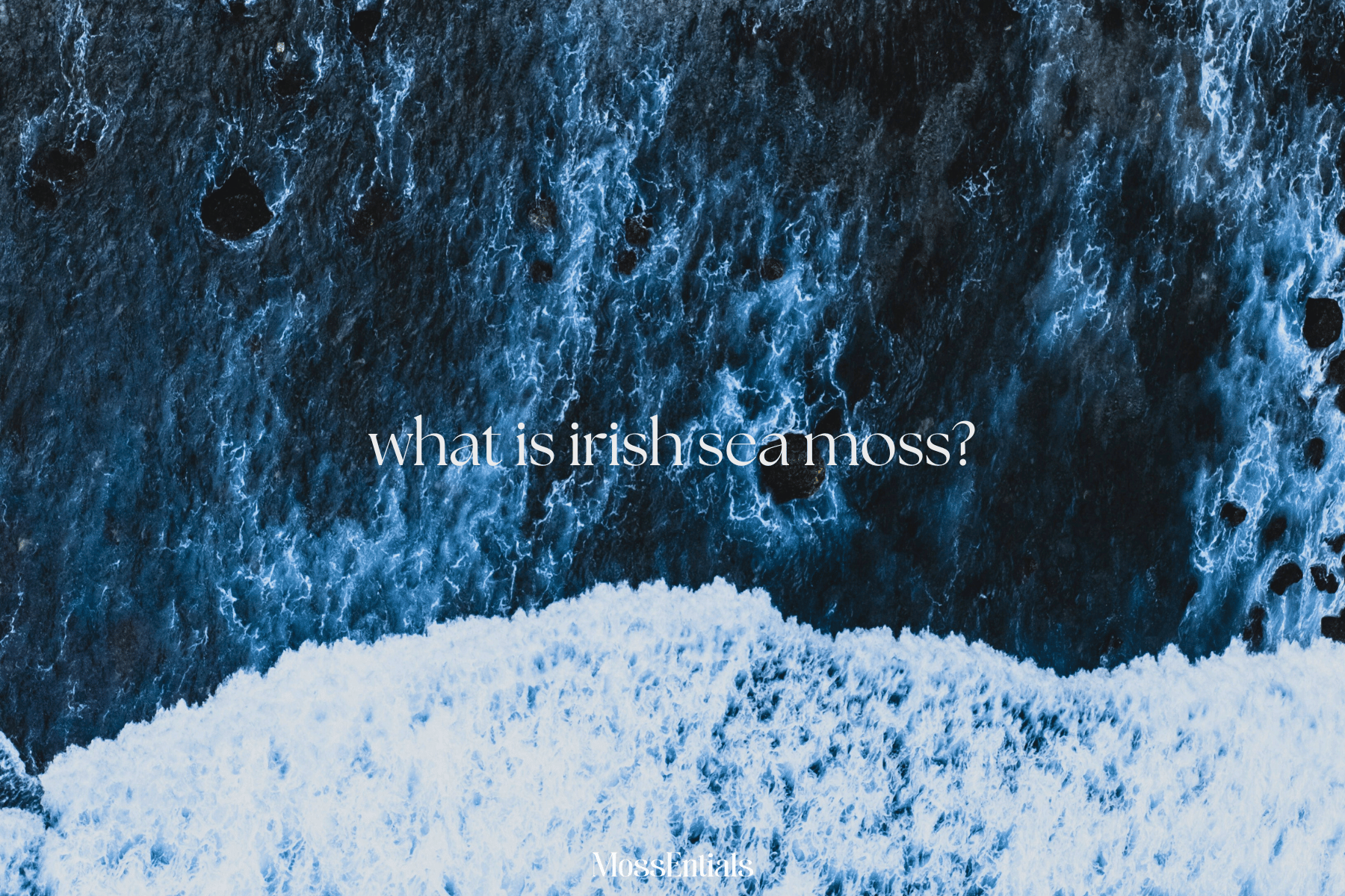 what is irish sea moss