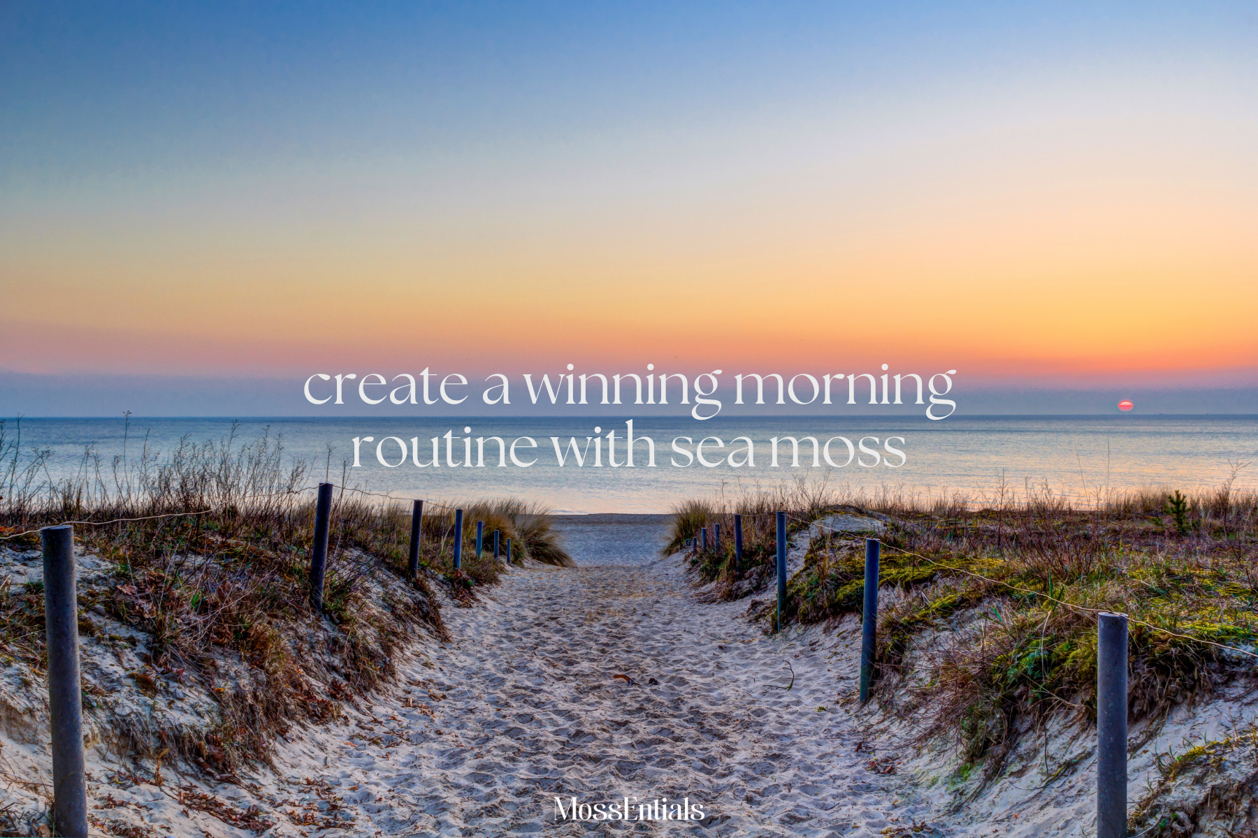 Create A Winning Morning Routine With Sea Moss