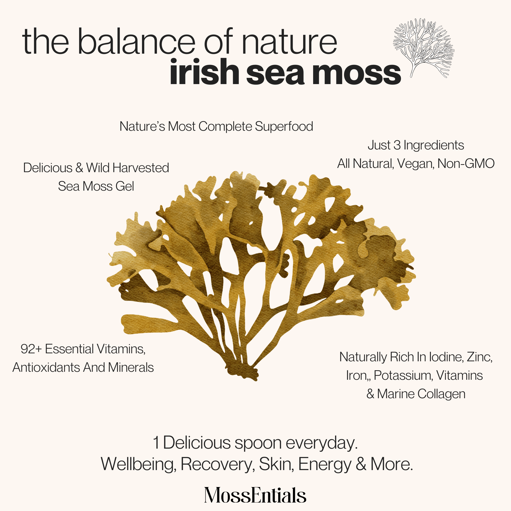 Irish Sea Moss Gel Original