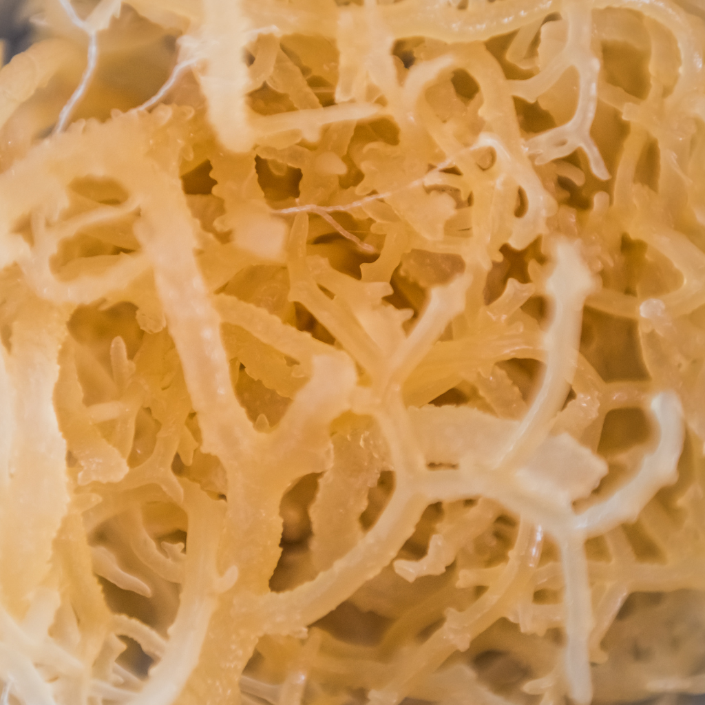 Irish Sea Moss Gel Original