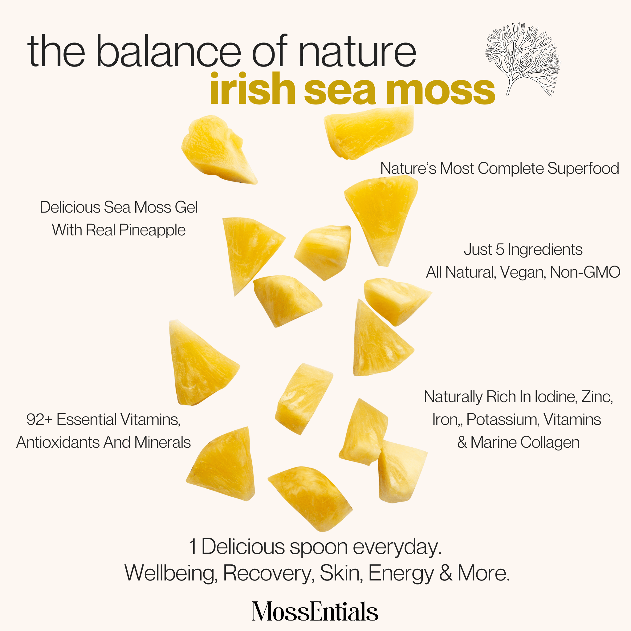 Irish Sea Moss Gel Pineapple