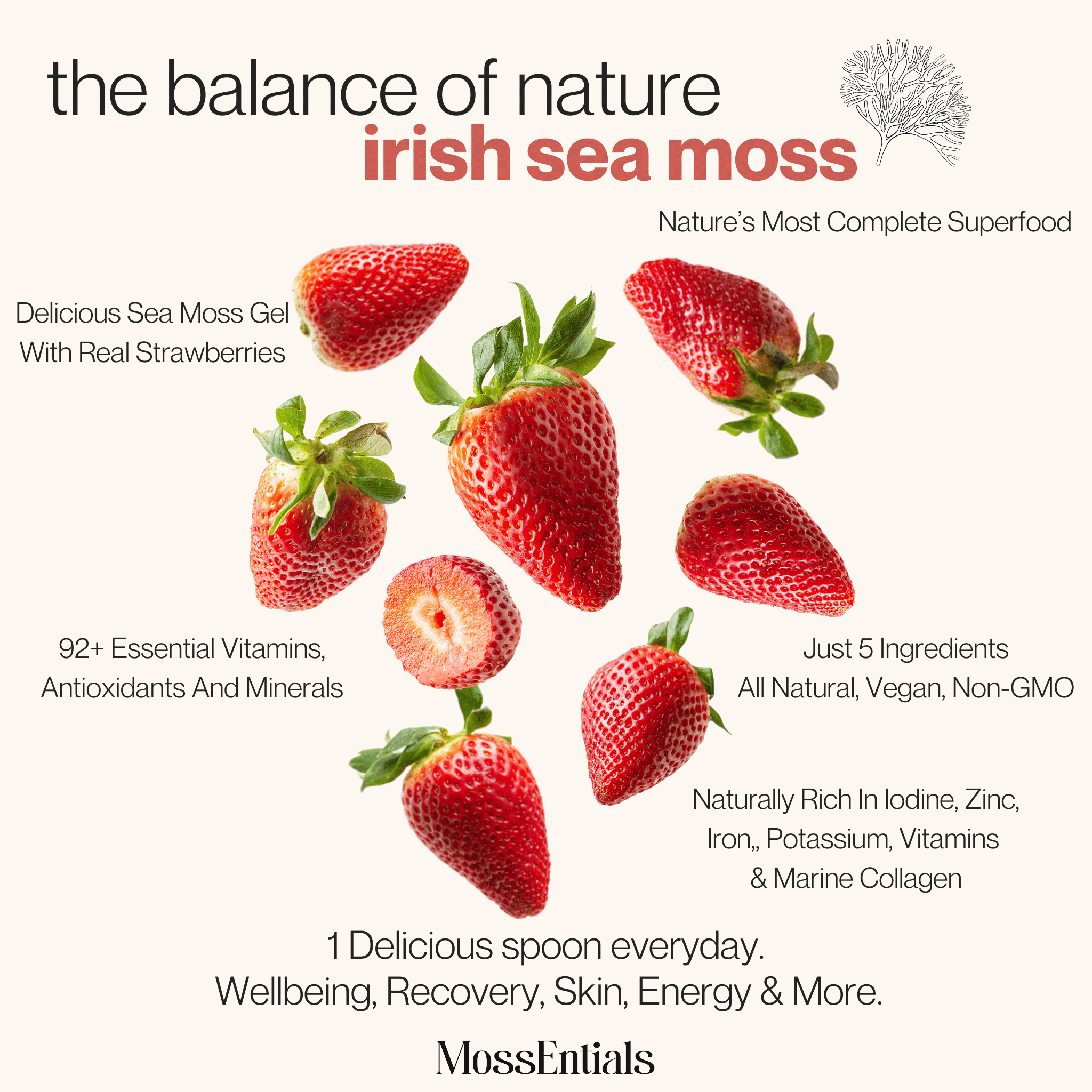 Irish Sea Moss Gel Strawberry