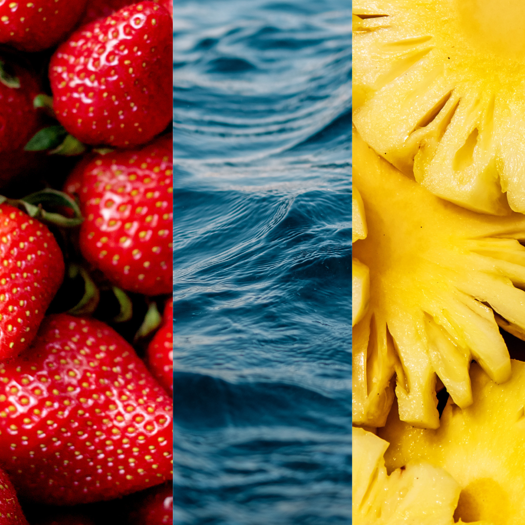 Irish Sea Moss Gel Trio Bundle