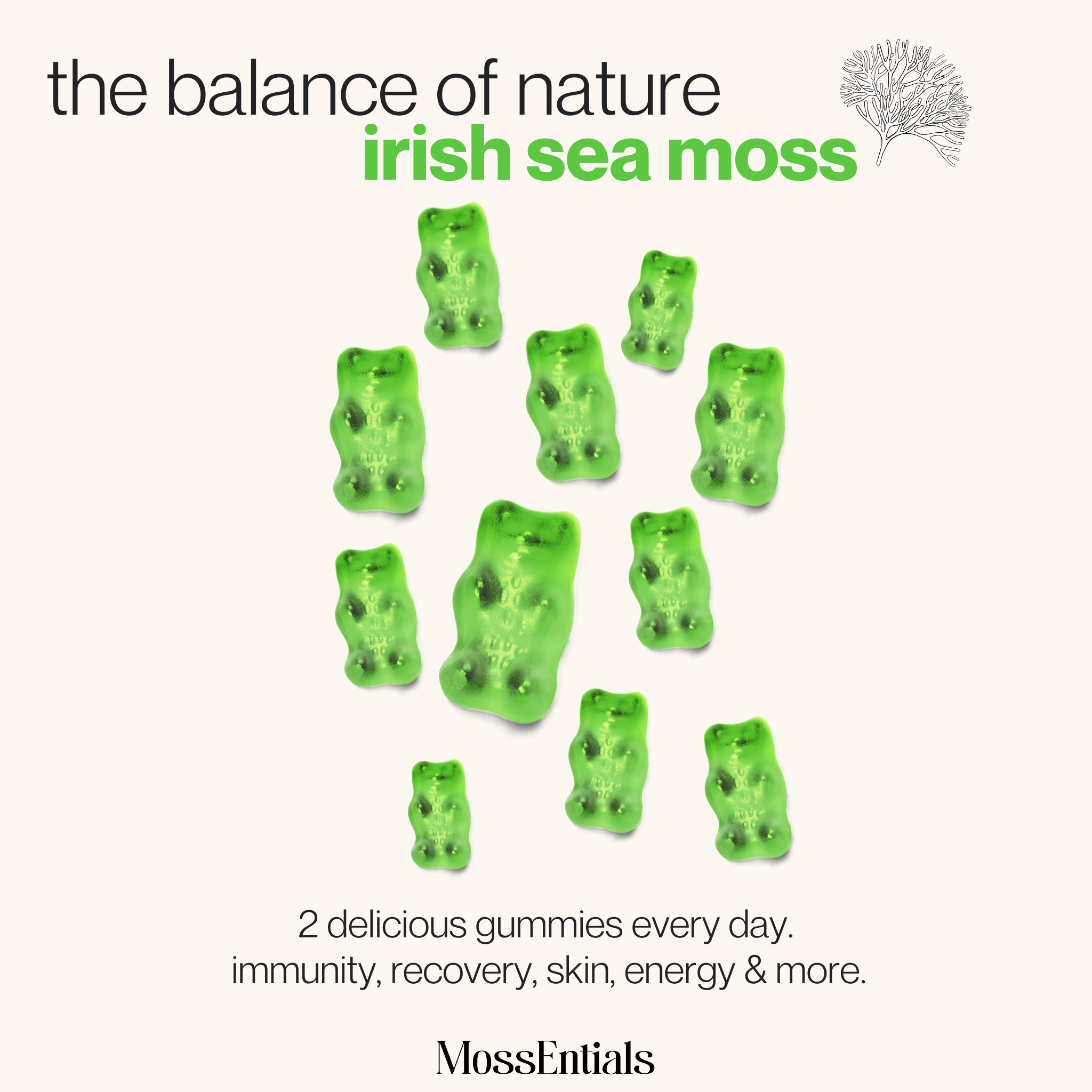 Day & Night Sea Moss Bundle