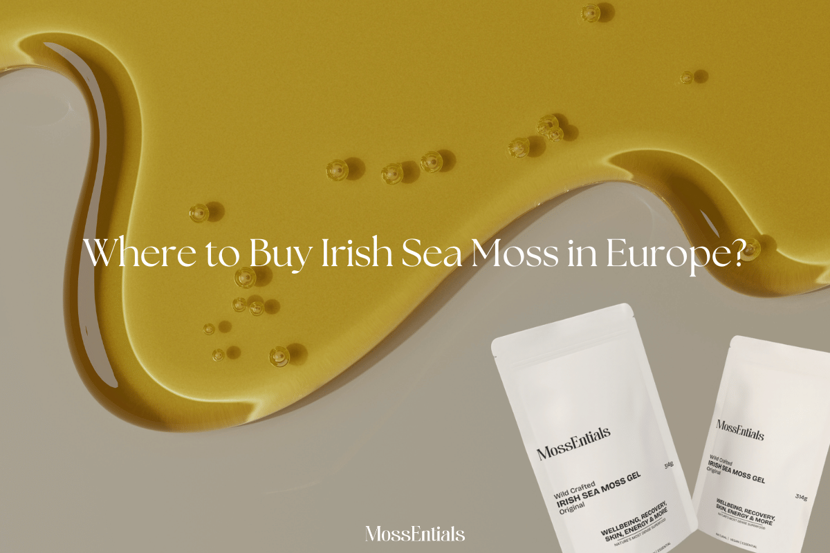 Where to Buy Irish Sea Moss Gel in Europe