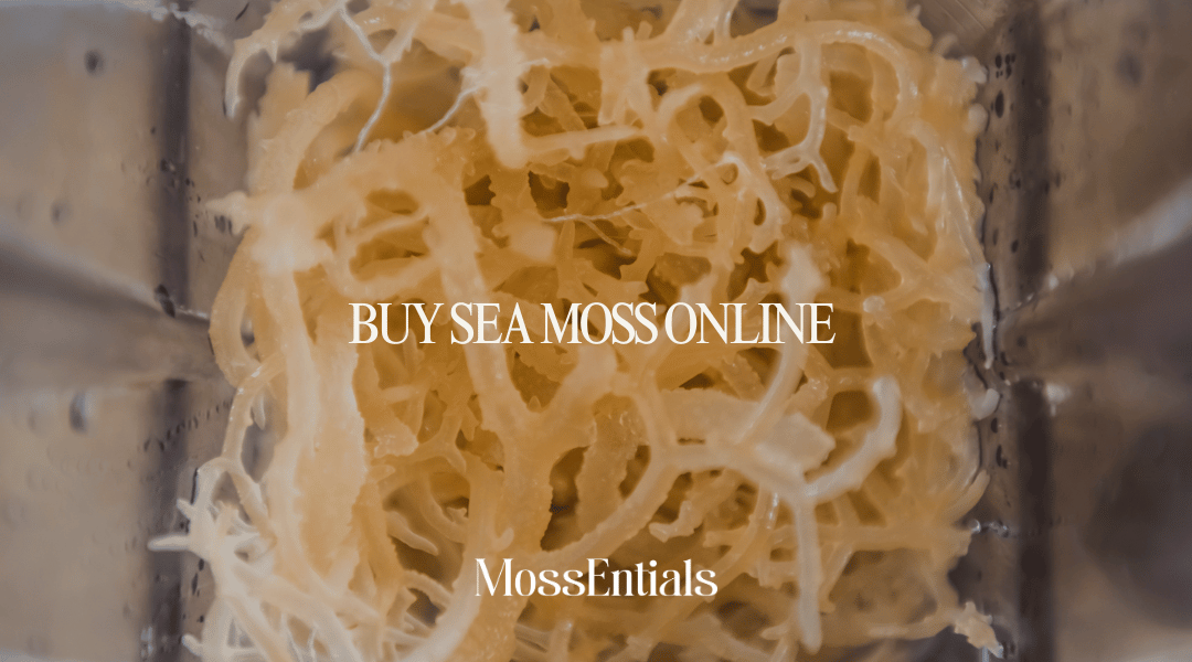 Buy Sea Moss online