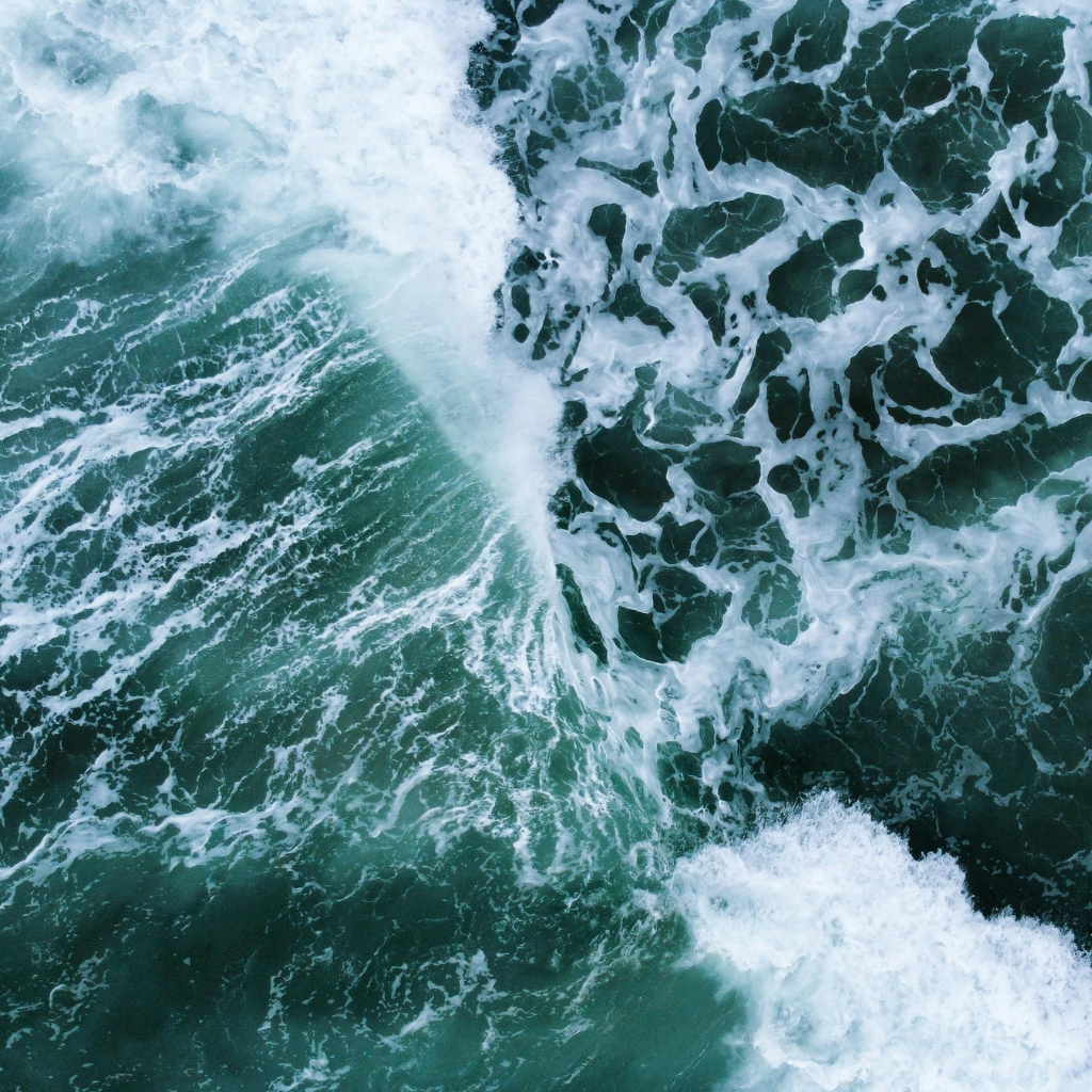 Irish Sea Moss Gel Original