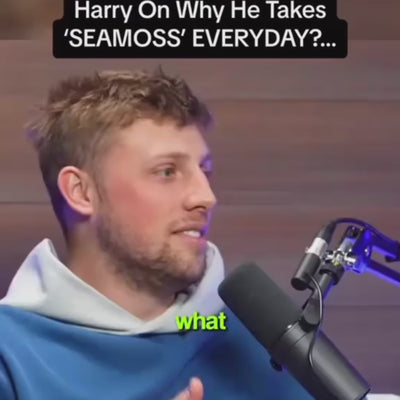 Harry Lewis Sidemen on Sea Moss